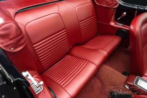 Image 7/15 of Ford Mustang 289 (1967)
