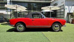 Image 59/71 of Alfa Romeo Giulietta Spider (1961)