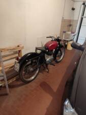 Bild 42/50 von Gilera 150 Sport (1952)
