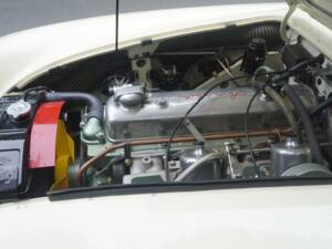 Immagine 19/25 di Austin-Healey 3000 Mk III (BJ8) (1964)