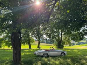 Image 33/54 of Mercedes-Benz 190 SL (1957)