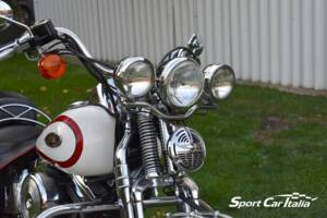 Immagine 27/50 di Harley-Davidson FLSTS 1340 Heritage Springer (1998)