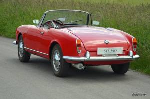 Bild 7/21 von Alfa Romeo Giulia 1600 Spider (1964)