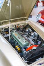 Imagen 17/28 de Austin-Healey 3000 Mk II (BJ7) (1964)