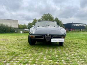 Bild 4/24 von Alfa Romeo 1600 Duetto (1966)