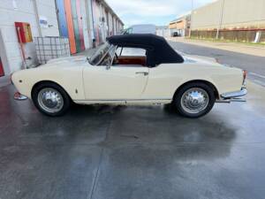 Bild 3/16 von Alfa Romeo Giulia 1600 Spider (1962)