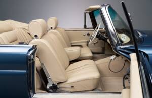 Bild 22/34 von Mercedes-Benz 250 SE (1966)