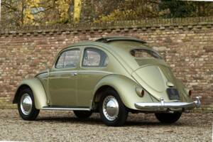 Bild 39/50 von Volkswagen Beetle 1200 Standard "Oval" (1956)