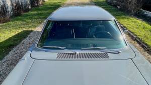 Immagine 20/56 di Dodge Charger R&#x2F;T 440 (1969)