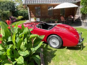 Bild 16/150 von Austin-Healey 100/4 (BN1) (1955)