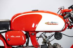 Immagine 17/50 di Aermacchi Ala Verde (1964)