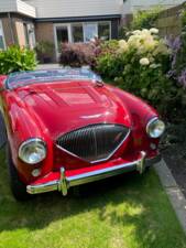 Bild 7/150 von Austin-Healey 100/4 (BN1) (1955)