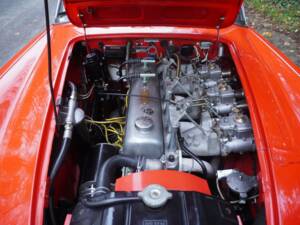 Immagine 16/18 di Austin-Healey 3000 Mk III (BJ8) (1964)