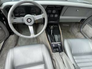 Bild 30/50 von Chevrolet Corvette 25th Anniversary (1978)