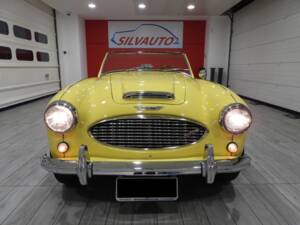 Bild 37/50 von Austin-Healey 3000 Mk I (BN7) (1960)
