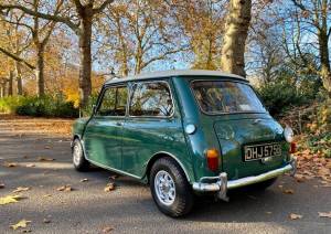 Immagine 9/48 di Austin Mini Cooper S 1275 (1964)
