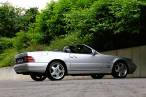 Bild 7/63 von Mercedes-Benz SL 320 &quot;Final Edition&quot; (2001)
