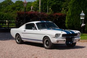 Bild 7/50 von Ford Shelby GT 350 (1965)