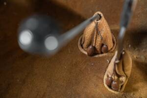 Bild 39/50 von FIAT 514 (1932)