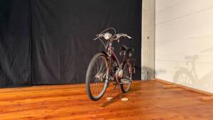 Immagine 2/15 di HMW Foxinette FM 41 (1900)