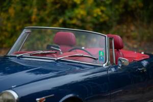 Bild 47/50 von Alfa Romeo 2600 Spider (1962)