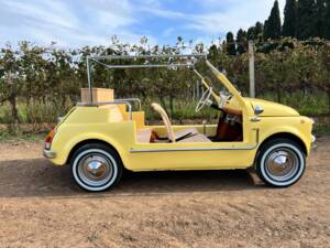 Bild 10/80 von FIAT Ghia 500 Jolly (1972)