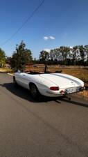 Afbeelding 10/19 van Alfa Romeo 1750 Spider (1969)