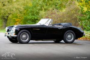 Image 19/51 of Austin-Healey 3000 Mk III (BJ8) (1967)
