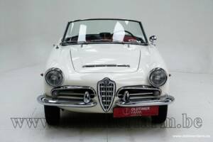 Bild 9/30 von Alfa Romeo Giulia 1600 Spider Veloce (1965)