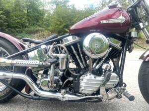 Immagine 7/11 di Harley-Davidson FL Panhead (1956)