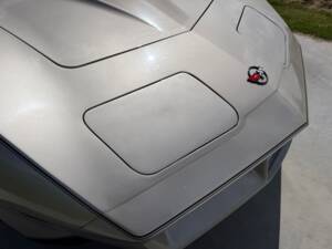 Afbeelding 6/50 van Chevrolet Corvette Collector Edition (1982)