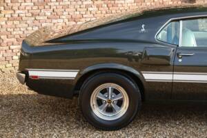 Image 13/50 of Ford Shelby GT 500 (1969)