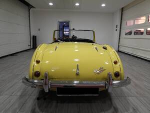 Bild 5/50 von Austin-Healey 3000 Mk I (BN7) (1960)