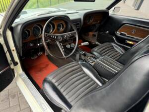 Image 20/50 de Ford Shelby GT 350 (1969)