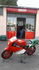 Immagine 50/50 di Ducati 750 F1 (1986)
