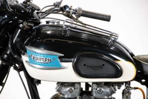 Image 18/50 of Triumph 6T Thunderbird (1959)