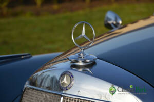 Bild 15/50 von Mercedes-Benz 300 d Cabriolet D (1958)