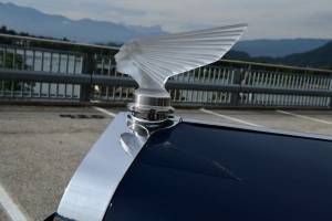 Bild 43/50 von Delage D6-70 Figoni &amp; Falaschi (1936)
