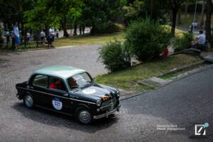 Bild 7/88 von FIAT 1100-103 TV (1955)