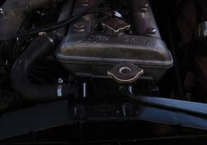 Image 13/16 of Alfa Romeo Giulietta Spider (1961)