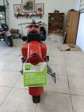 Image 37/39 of Moto Guzzi DUMMY (1954)