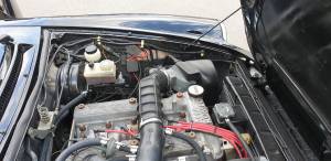 Image 21/32 of Alfa Romeo Spider Veloce (1987)