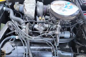 Bild 16/18 von Panther Lima (1979)