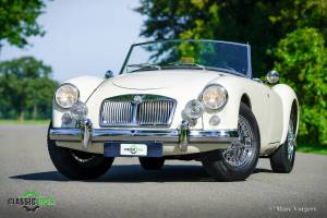Bild 16/43 von MG MGA 1500 (1956)