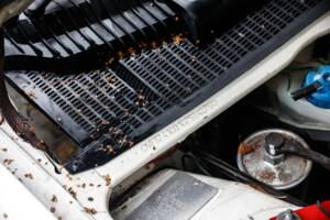 Imagen 9/44 de Peugeot 205 GTi 1.9 (1987)