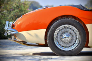 Bild 19/40 von Austin-Healey 3000 Mk I (BN7) (1959)
