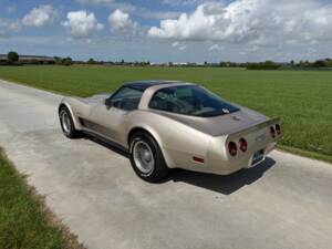 Afbeelding 3/50 van Chevrolet Corvette Collector Edition (1982)