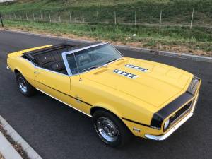 Immagine 11/20 di Chevrolet Camaro Convertible (1968)