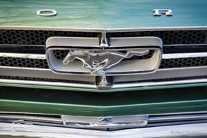 Image 31/58 of Ford Mustang 289 (1965)
