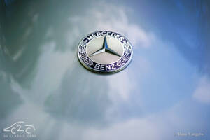 Immagine 29/59 di Mercedes-Benz 190 SL (1958)